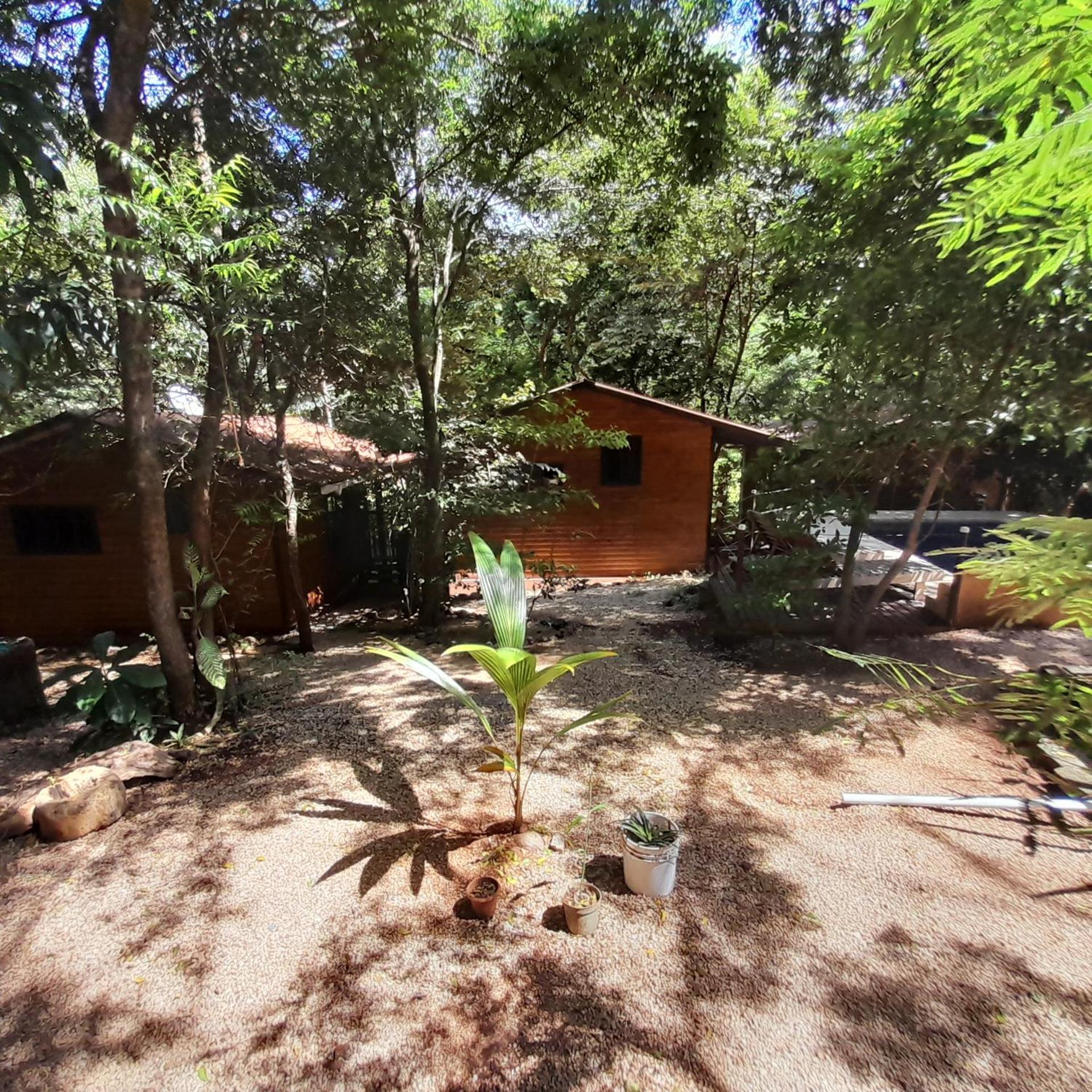 Hotel Cabinas La Playa Playa Avellana Dış mekan fotoğraf