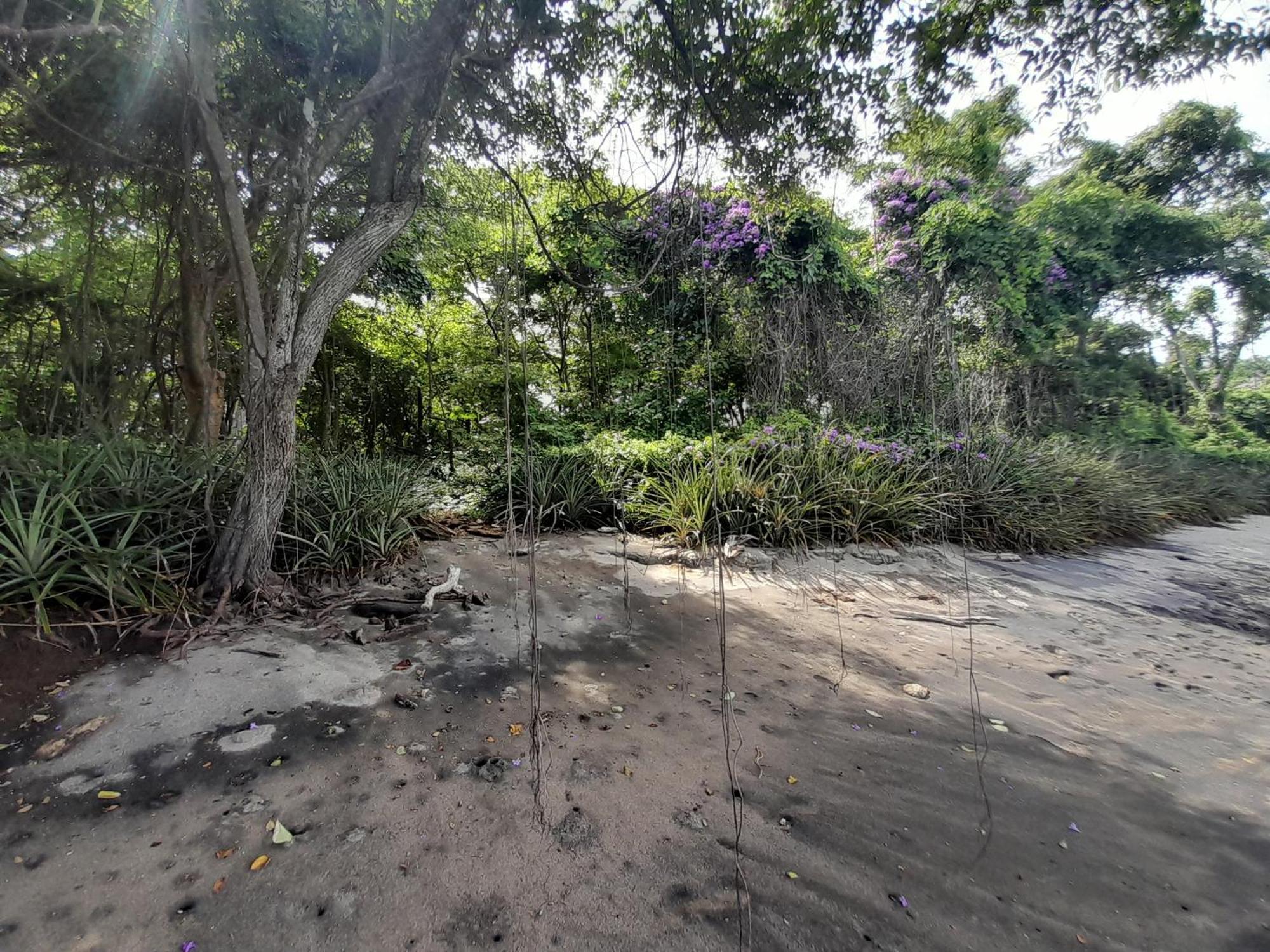 Hotel Cabinas La Playa Playa Avellana Dış mekan fotoğraf